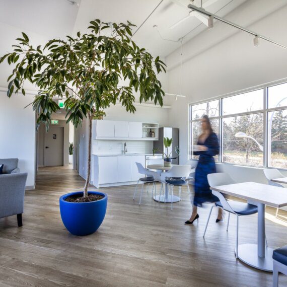 Aura Office | Office Interior Design