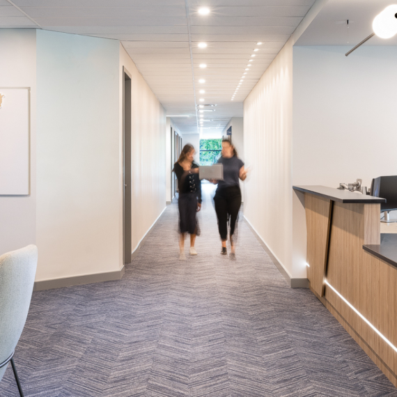 Graymont head office