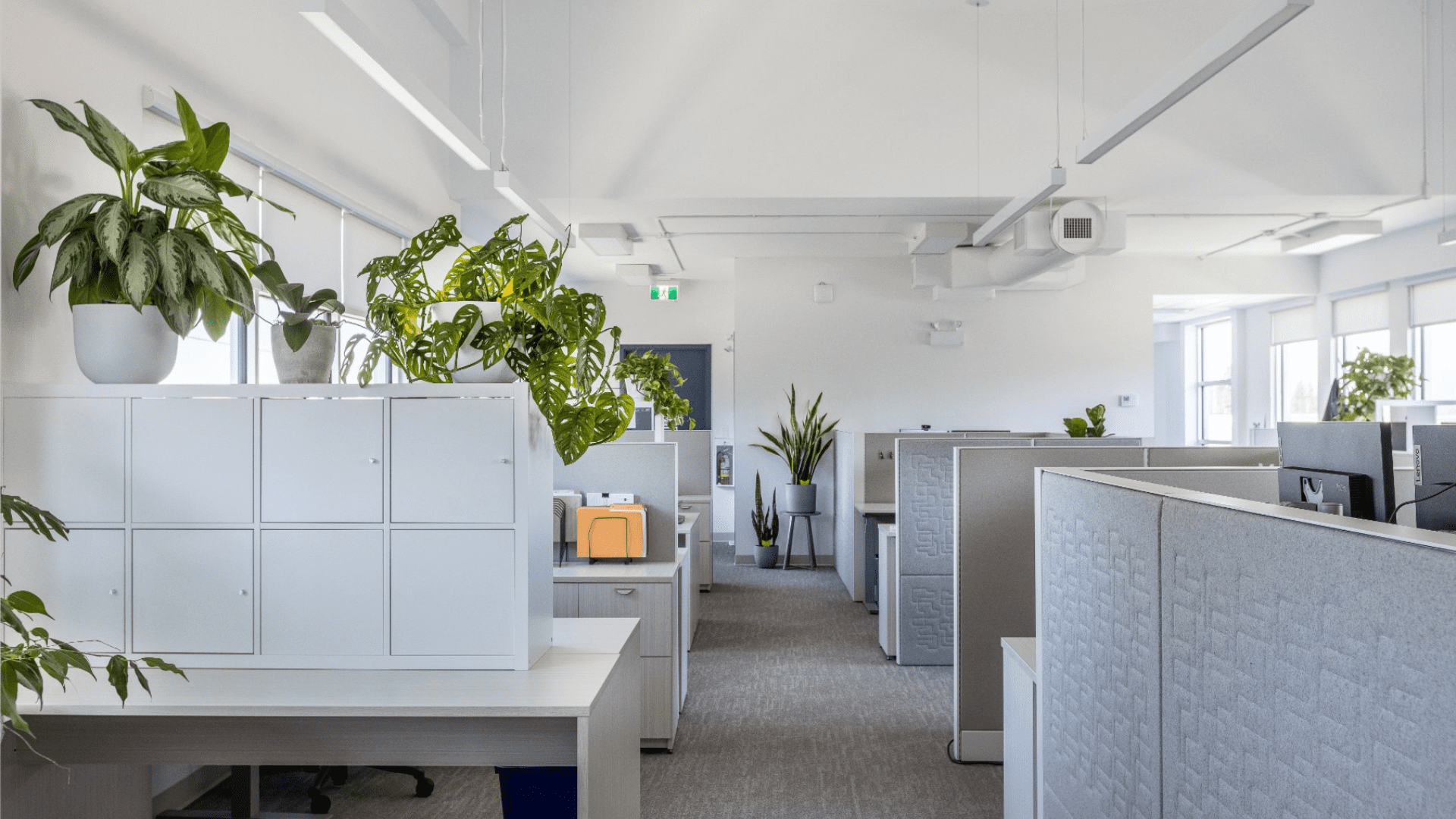Aura Office | Workspace Layouts: Finding the Right Floorplan for your Office
