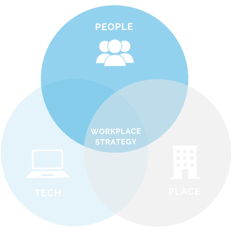 Who is Involved in Workplace Strategy?
